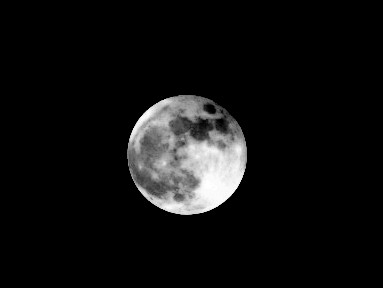 f:id:SAKI001:20250205213430j:image f:id:SAKI001:20250205213430j:image