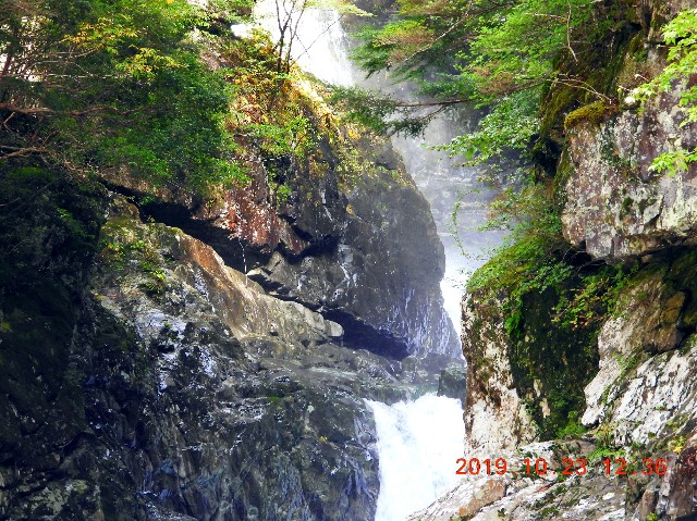 f:id:SAKI001:20250206165006j:image