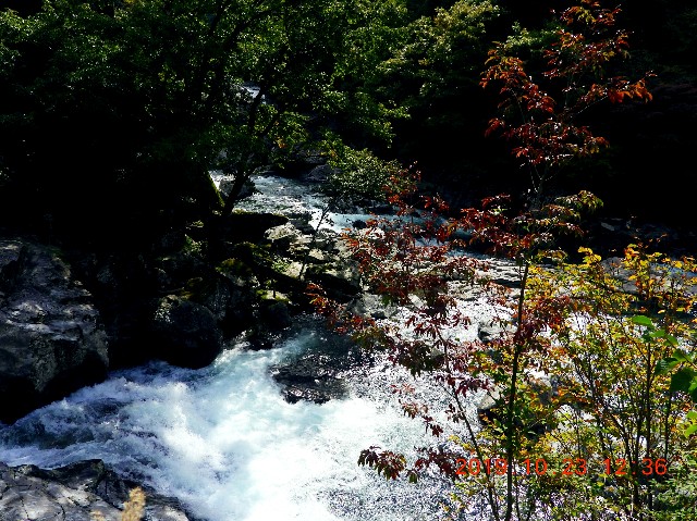 f:id:SAKI001:20250206165100j:image