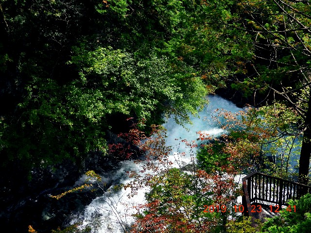 f:id:SAKI001:20250206165200j:image