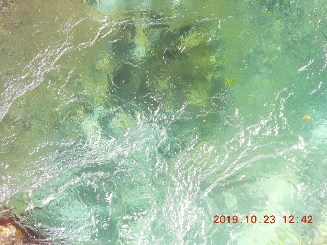 f:id:SAKI001:20250206165231j:image