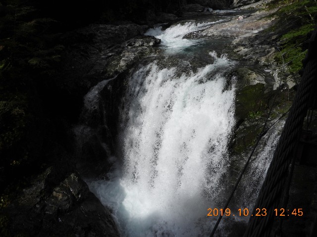 f:id:SAKI001:20250206165426j:image