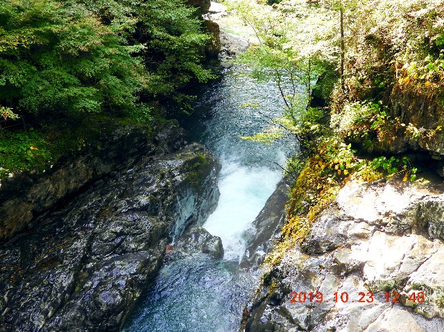 f:id:SAKI001:20250206165542j:image