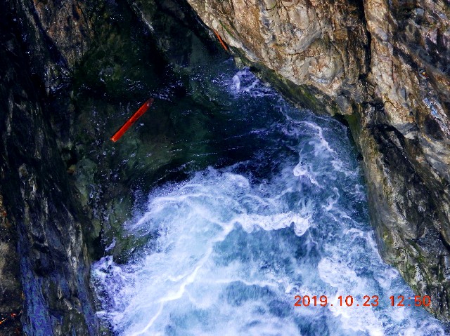 f:id:SAKI001:20250206165547j:image