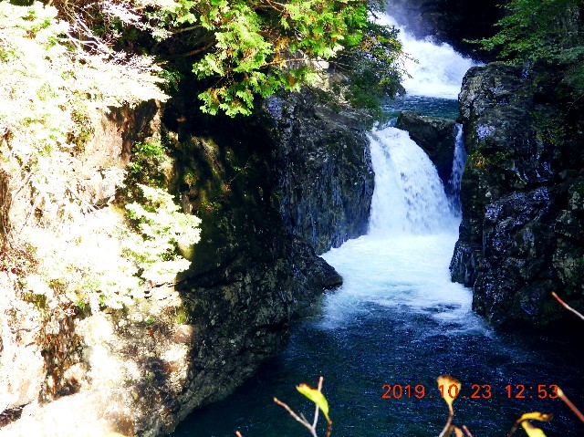 f:id:SAKI001:20250206165556j:image