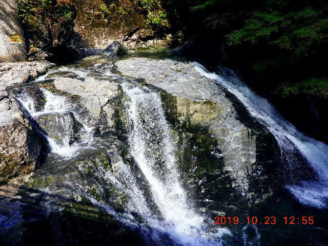 f:id:SAKI001:20250206165608j:image