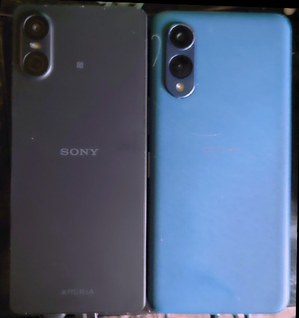 f:id:SAKI001:20250208152856j:image f:id:SAKI001:20250208152856j:image