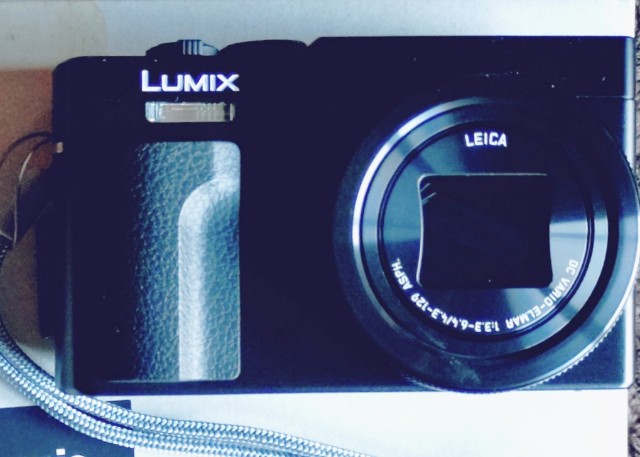 f:id:SAKI001:20250226094827j:image