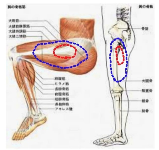 f:id:SAKI001:20250302174048j:image