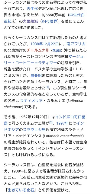 f:id:SAKI001:20250302213333j:image