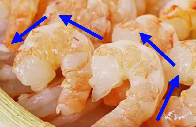 f:id:SAKI001:20250409173949j:image