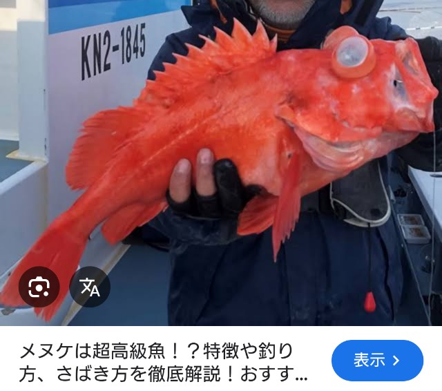 f:id:SAKI001:20250415163642j:image