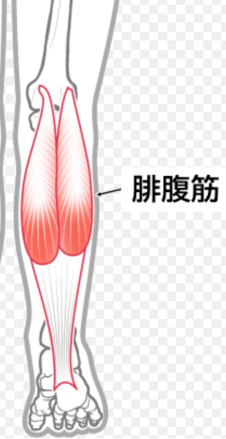 f:id:SAKI001:20250422130402j:image