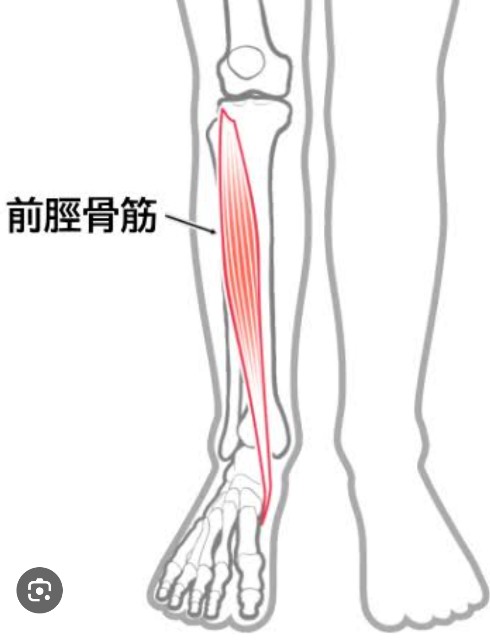 f:id:SAKI001:20250422130418j:image