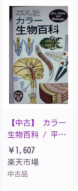 f:id:SAKI001:20250502154444j:image f:id:SAKI001:20250502154444j:image