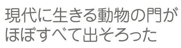 f:id:SAKI001:20250507103315j:image