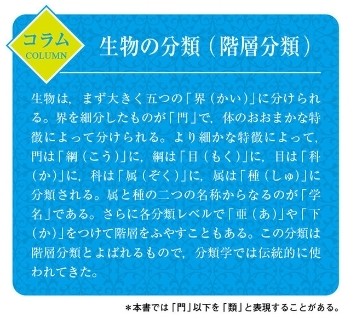 f:id:SAKI001:20250507103322j:image