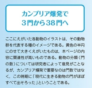 f:id:SAKI001:20250507103327j:image