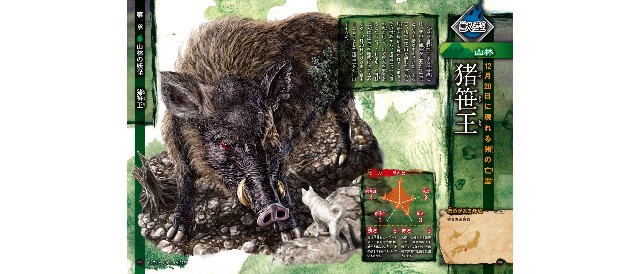 f:id:SAKI001:20250616163744j:image