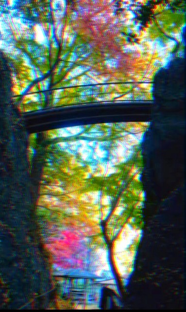 f:id:SAKI001:20250618184319j:image