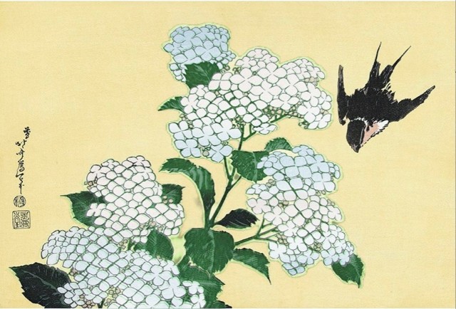 f:id:SAKI001:20250618221751j:image