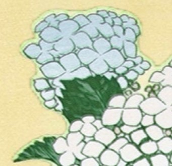 f:id:SAKI001:20250618221807j:image