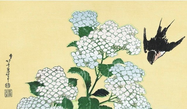 f:id:SAKI001:20250618222159j:image