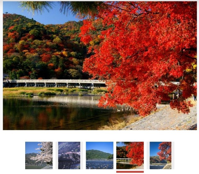 f:id:SAKI001:20250619132502j:image