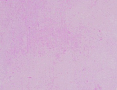 f:id:SAKI001:20250619233547j:image