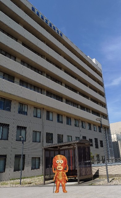 f:id:SAKI001:20250620124911j:image f:id:SAKI001:20250620124911j:image