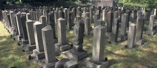 f:id:SAKI001:20250622163550j:image