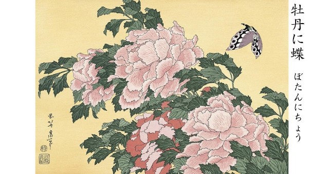 f:id:SAKI001:20250624120159j:image