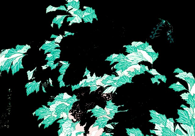 f:id:SAKI001:20250624120211j:image