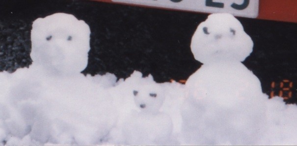 f:id:SAKI001:20250627172635j:image