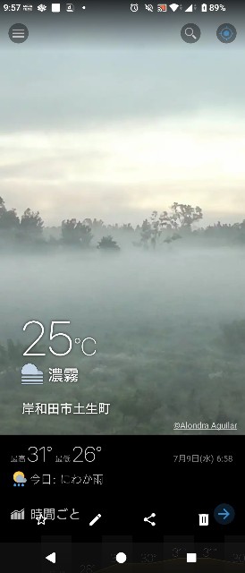 f:id:SAKI001:20250709100413j:image