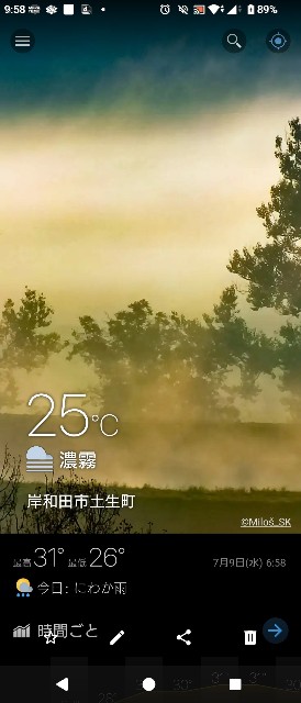 f:id:SAKI001:20250709100454j:image