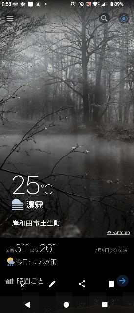 f:id:SAKI001:20250709100502j:image