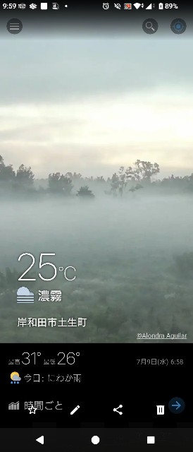 f:id:SAKI001:20250709100512j:image