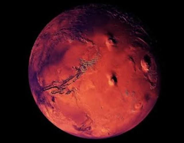 f:id:SAKI001:20250714155313j:image