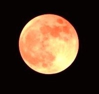 f:id:SAKI001:20250714155330j:image