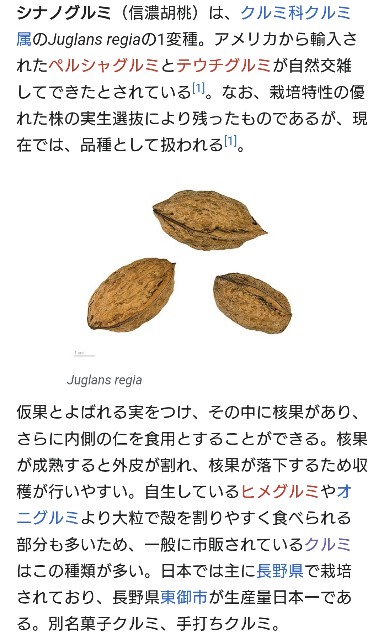 f:id:SAKI001:20250714221656j:image