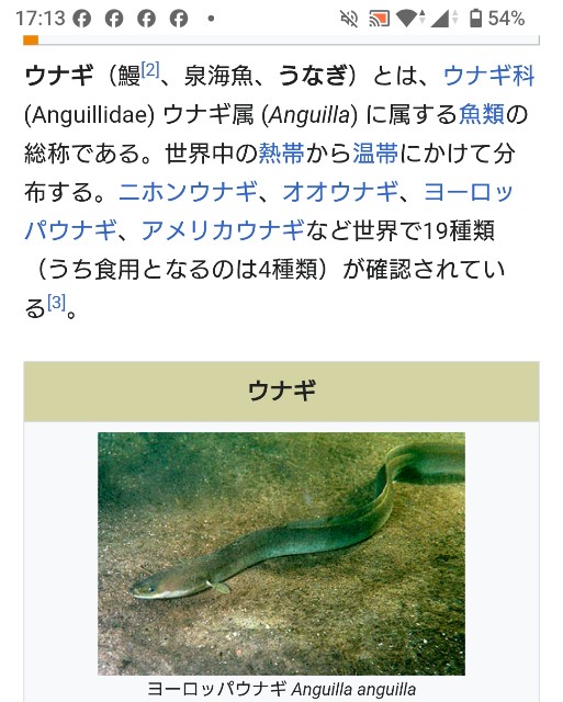f:id:SAKI001:20250716172516j:image