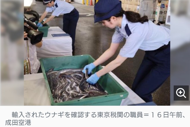 f:id:SAKI001:20250716172525j:image
