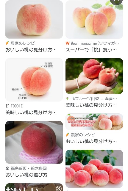 f:id:SAKI001:20250717084750j:image