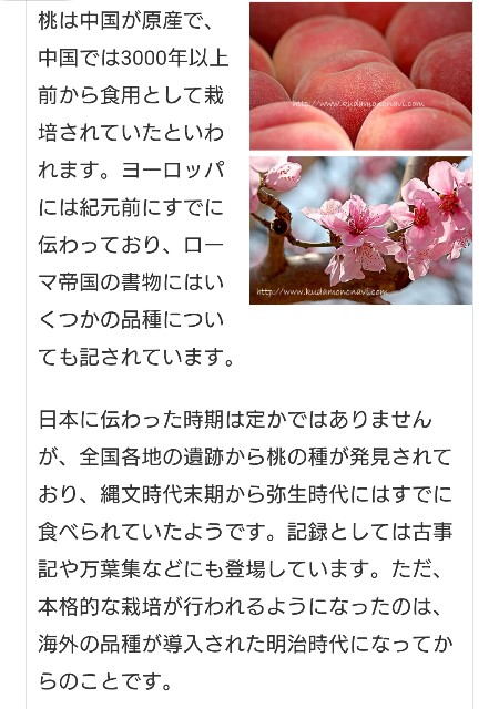 f:id:SAKI001:20250717084754j:image