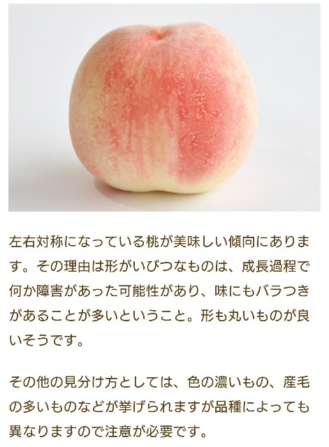 f:id:SAKI001:20250717084803j:image