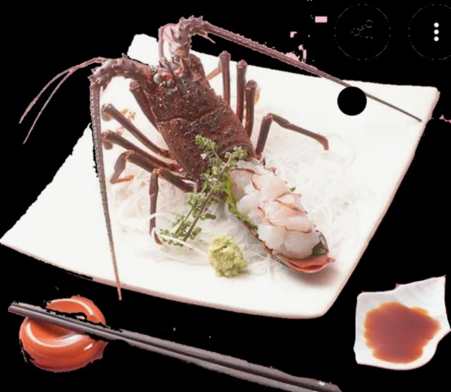 f:id:SAKI001:20250717161318j:image