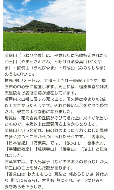 f:id:SAKI001:20250820074254j:image