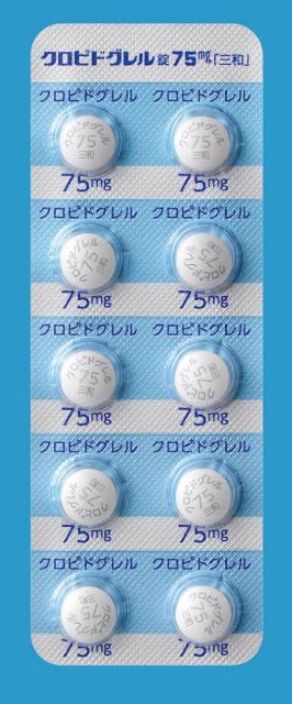 f:id:SAKI001:20250903065329j:image