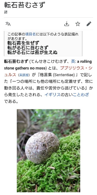 f:id:SAKI001:20251113155259j:image